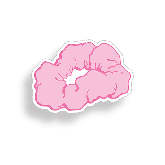 Pink Scrunchie Sticker Scrunchy Hair Bow Cup Laptop Car Vehicle Window Decal
