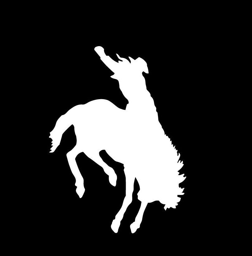 Rodeo Decal Horse Cowboy Bucking Bronco Riding Window Bumper Sticker Car Decor