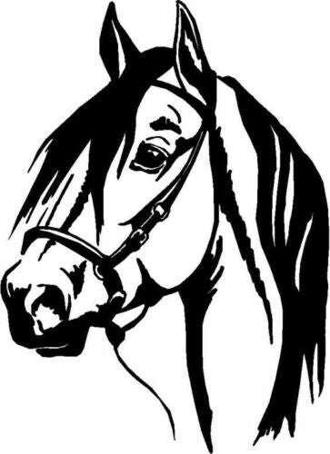 5''X6'' HORSE sticker vinyl decal for car and others FINISH GLOSSY