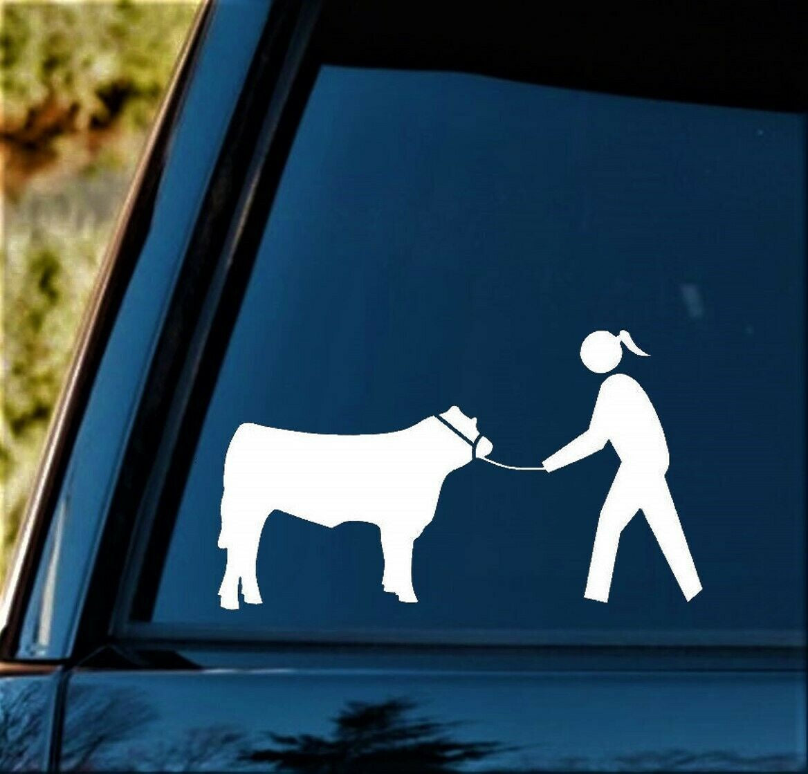 8"x4.6" Cow Cattle Show Halter Lead Chain Girl Decal Sticker Derby Barn Western