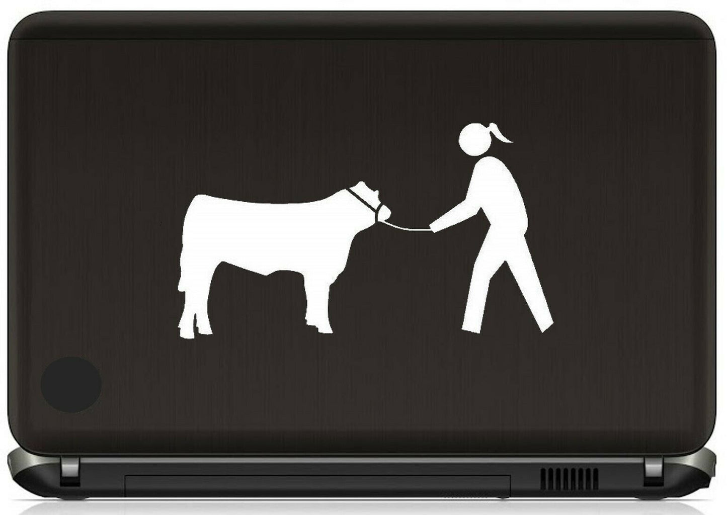 8"x4.6" Cow Cattle Show Halter Lead Chain Girl Decal Sticker Derby Barn Western