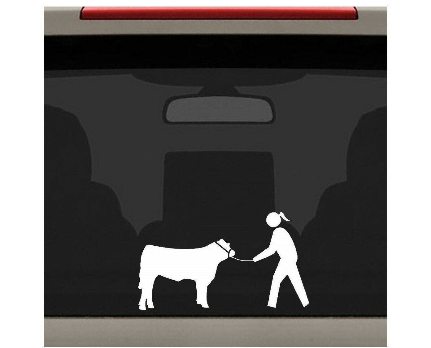 8"x4.6" Cow Cattle Show Halter Lead Chain Girl Decal Sticker Derby Barn Western