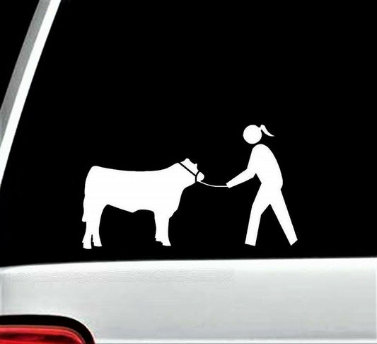 8"x4.6" Cow Cattle Show Halter Lead Chain Girl Decal Sticker Derby Barn Western