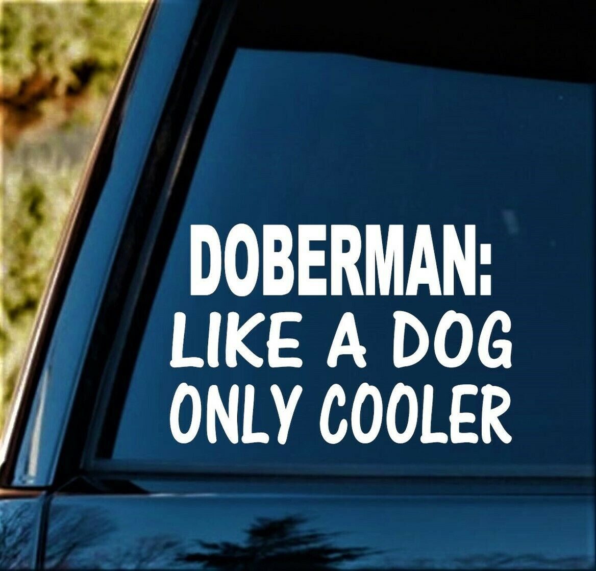 6"x4" Doberman Like A Dog Only Cooler Decal Sticker Car Truck SUV Van Laptop