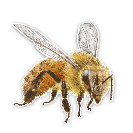 14CM*14.1CM Cartoon Creative Bee PVC Sticker Car Decal