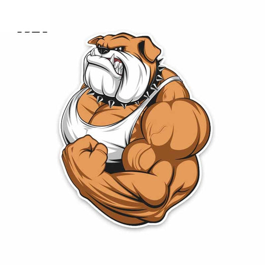 11.2*14.5CM Bulldog Full Color Bodybuilder Colored PVC High Quality Car Sticker Decoration