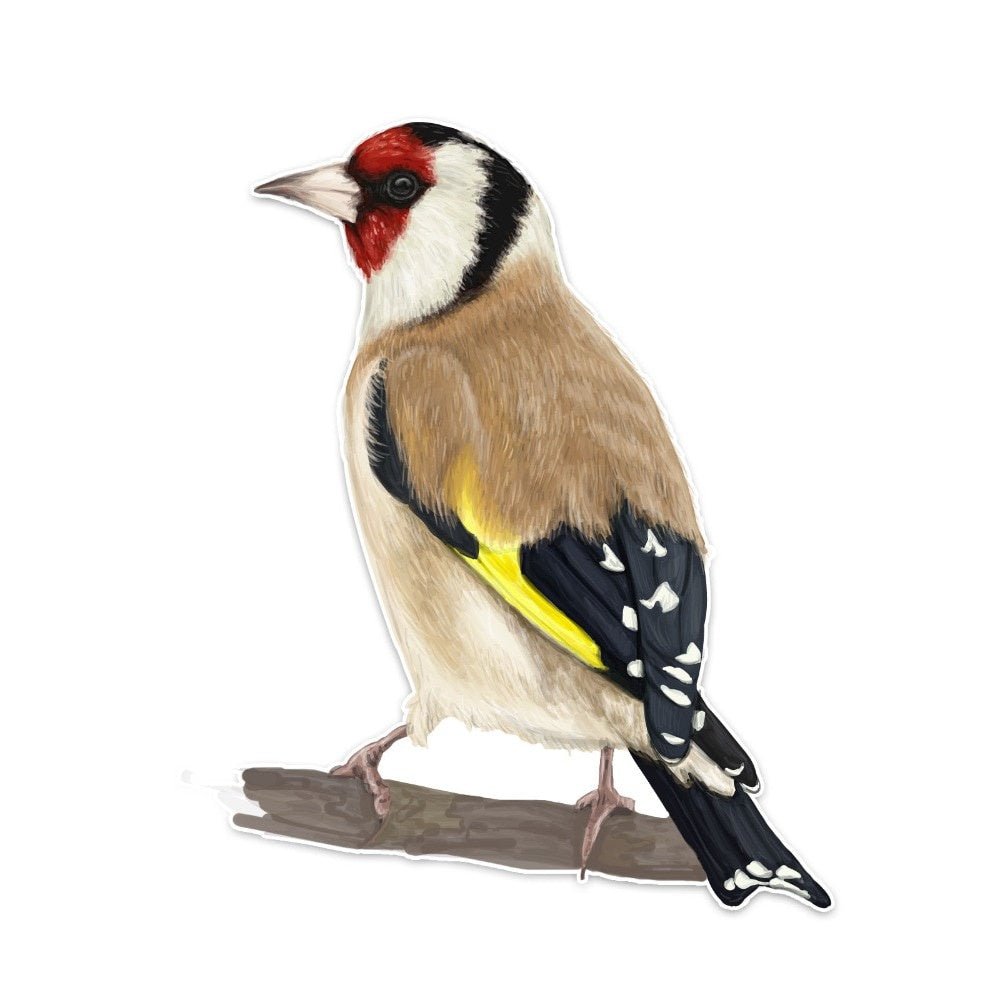 10.8*14.2CM Cute Creative Birds Decor Car Sticker Accessories Personalized Bumper Car Window