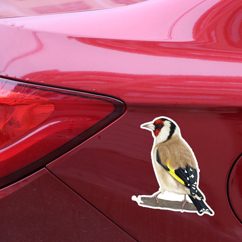 10.8*14.2CM Cute Creative Birds Decor Car Sticker Accessories Personalized Bumper Car Window