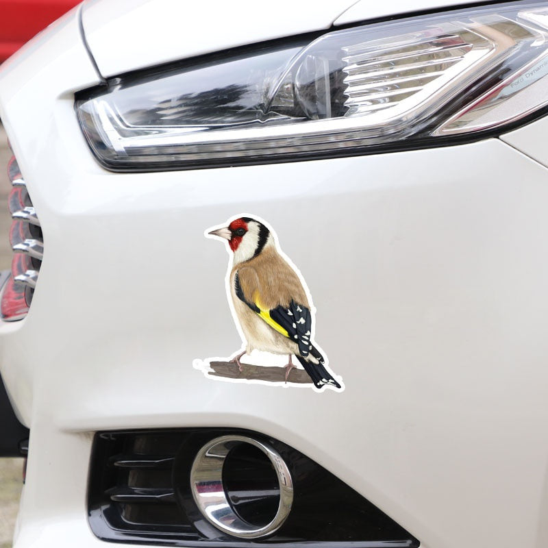 10.8*14.2CM Cute Creative Birds Decor Car Sticker Accessories Personalized Bumper Car Window