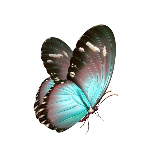 10.7CM*13.8CM Beautiful Hand Drawn Butterfly Decal PVC Motorcycle Car Sticker