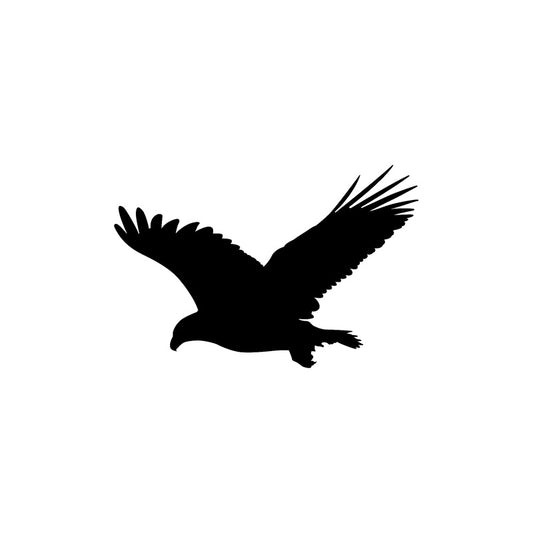16.6CM*10.9CM Fun Eagle Bird Vinyl Car Window Sticker Black/Silver Decal Car-styling C11-1078