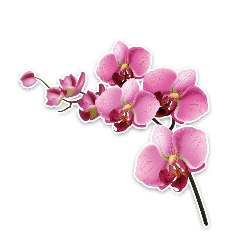 12.7*12.6CM Interesting Orchid Decor Car Stickers High Quality Personalized