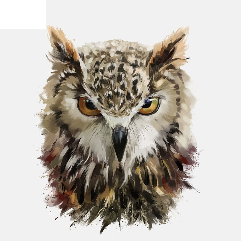 12.4CM*15.4CM Sharp Eyes Of The Owl PVC High Quality Car Sticker