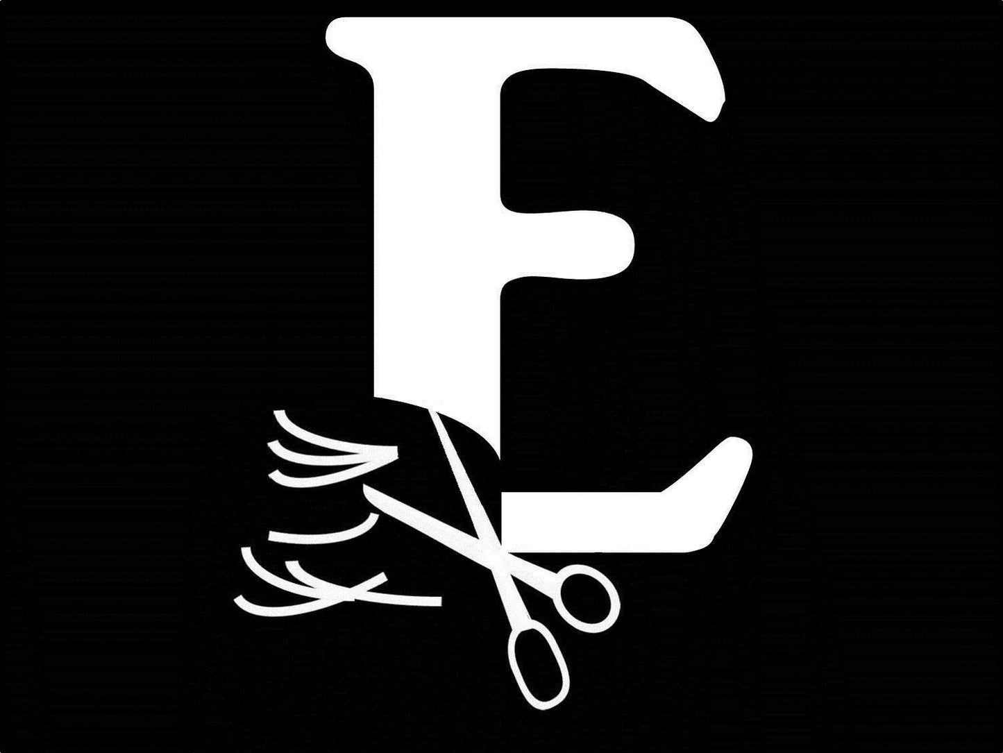 8"x5" Letter E HAIRDRESSER HAIR STYLIST SALON SPA DECAL STICKER CAR TRUCK SUV