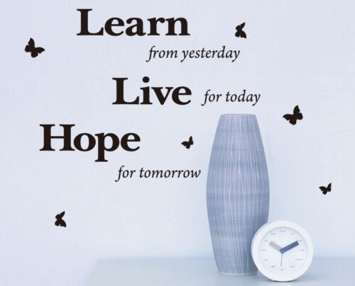 Hot 'Learn Live Hope' Wall Art Quotes Vinyl Sticker, DIY Wall Sticker - HIGH QUALITY