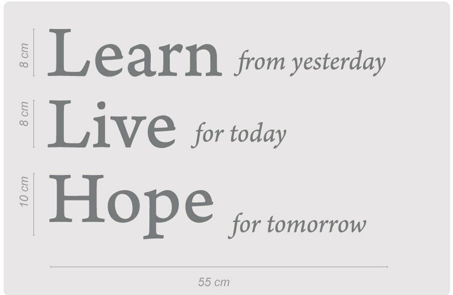 Hot Learn from Yesterday Family Love Art Wall Quotes Stickers words phrase Decals