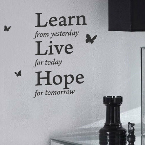 Hot Learn from Yesterday Family Love Art Wall Quotes Stickers words phrase Decals