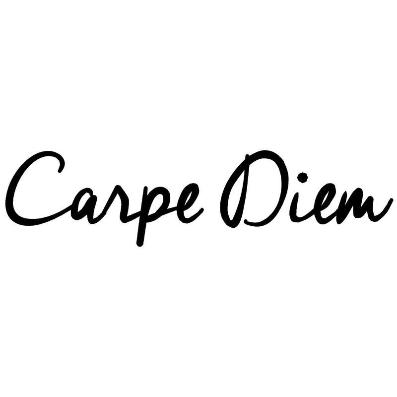 Car Sticker 20.3*5CM CARPE DIEM Fashion Car Sticker On Car Funny 3D Decal Motorcycle Door Stickers Car Styling