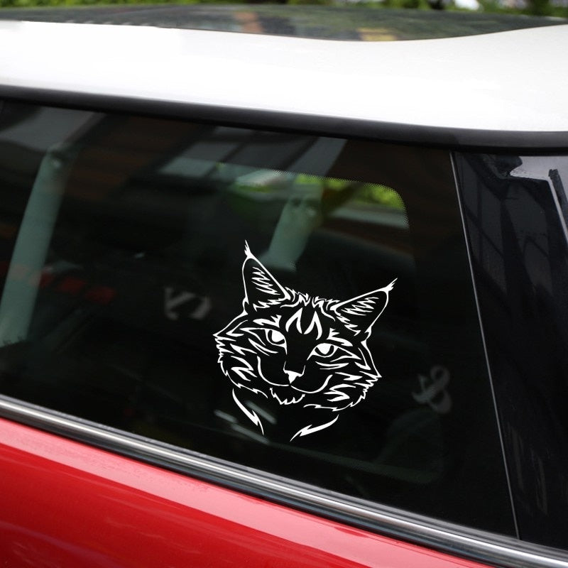 Anycuros Maine Coon Cat Breed Kitten Pet Animal Vinyl Decal Classic Cartoon Window Decoration Car Sticker 14*15CM