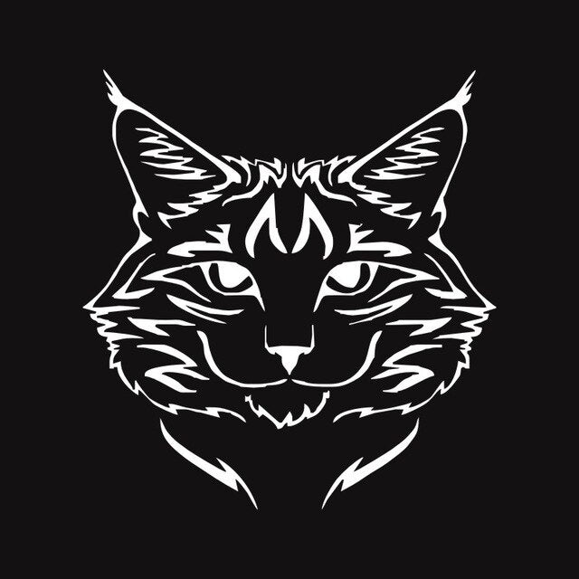 Anycuros Maine Coon Cat Breed Kitten Pet Animal Vinyl Decal Classic Cartoon Window Decoration Car Sticker 14*15CM