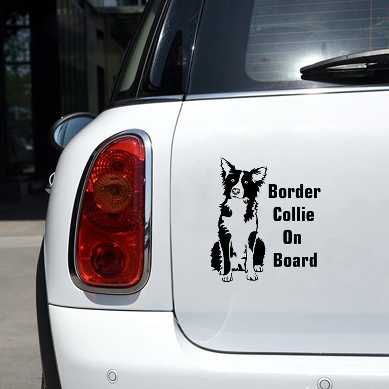 Car Sticker Border Collie on Board 17.1*15cm Funny Car Decal  Laser Vinyl Car Sticker 3D Car Styling Black Silver