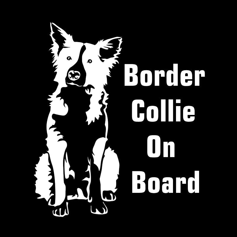 Car Sticker Border Collie on Board 17.1*15cm Funny Car Decal  Laser Vinyl Car Sticker 3D Car Styling Black Silver