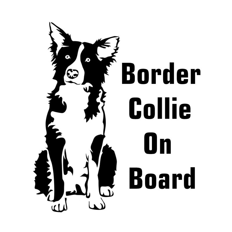 Car Sticker Border Collie on Board 17.1*15cm Funny Car Decal  Laser Vinyl Car Sticker 3D Car Styling Black Silver