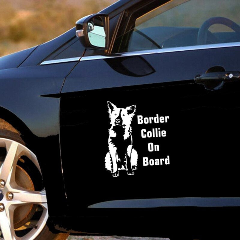 Car Sticker Border Collie on Board 17.1*15cm Funny Car Decal  Laser Vinyl Car Sticker 3D Car Styling Black Silver