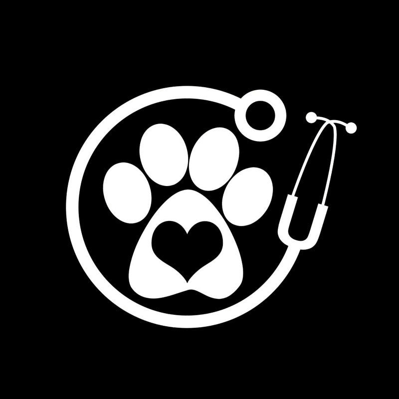 Vet Decal Veterinarian Window Laptop Car Sticker (Black,Silver, Multicolor,13cm)