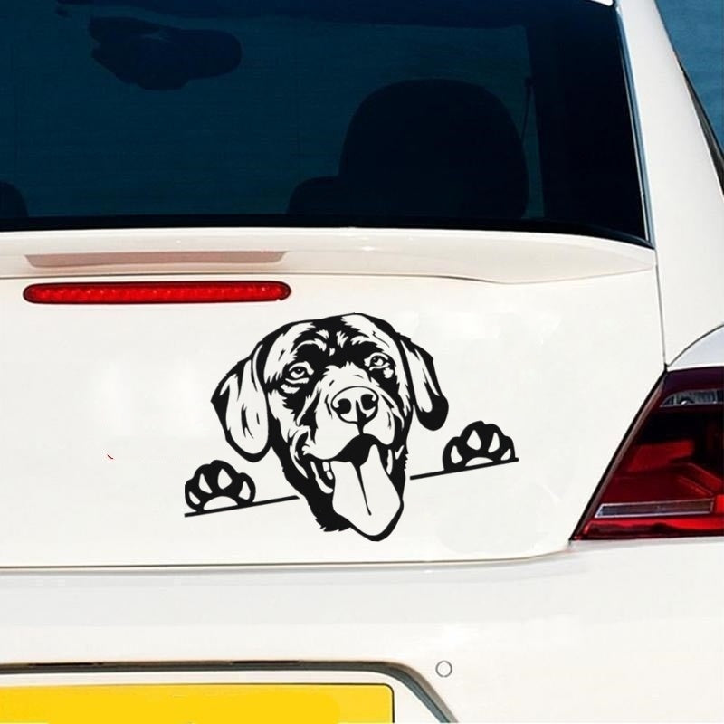 17.8cm*12.3cm Labrador Dog Peeking Car Sticker Vinyl Decal Home Decoration Laptop Wall Sticker