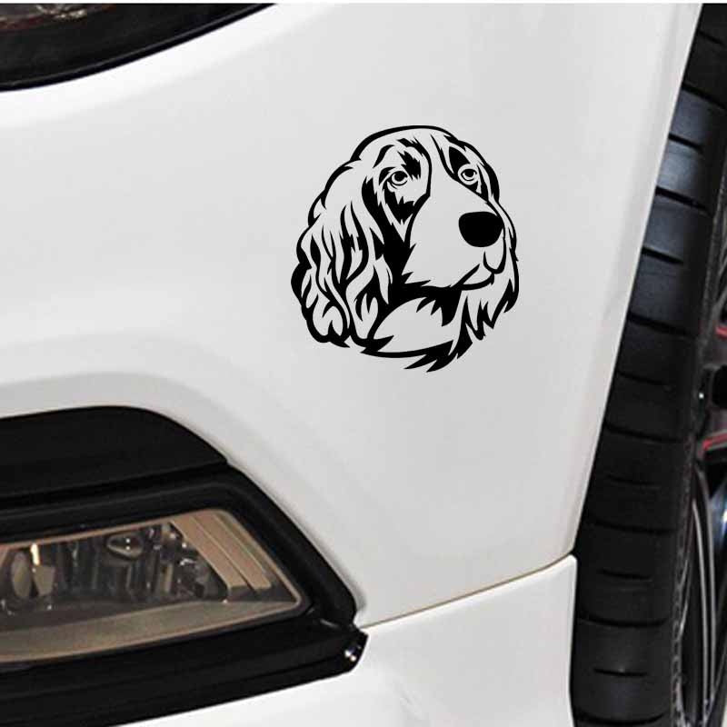 15CM*16.3CM Springer Spaniel Graphic Dog Vinyl Car Styling Car Sticker