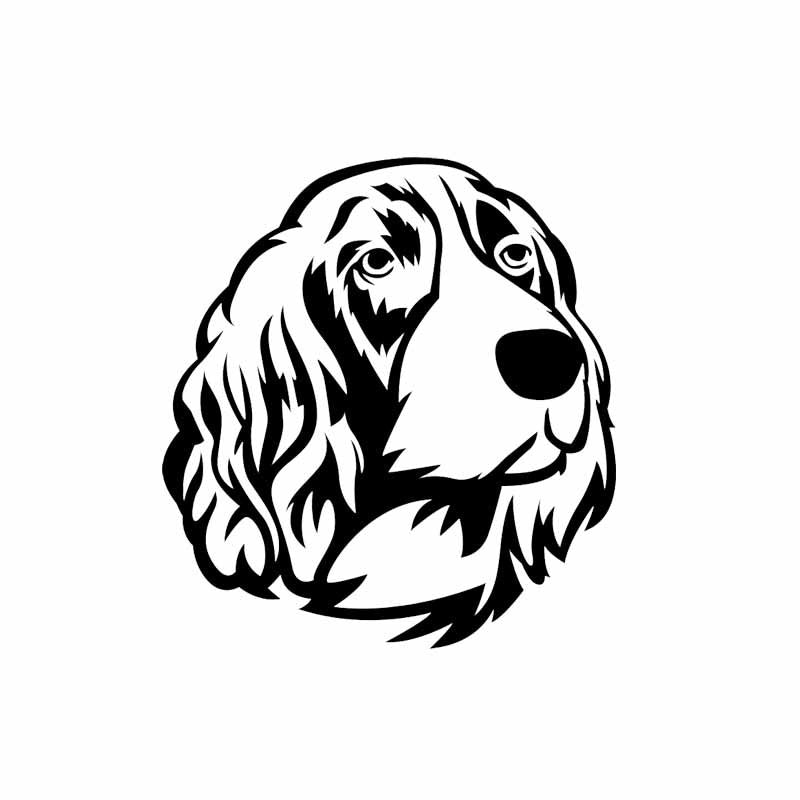 15CM*16.3CM Springer Spaniel Graphic Dog Vinyl Car Styling Car Sticker