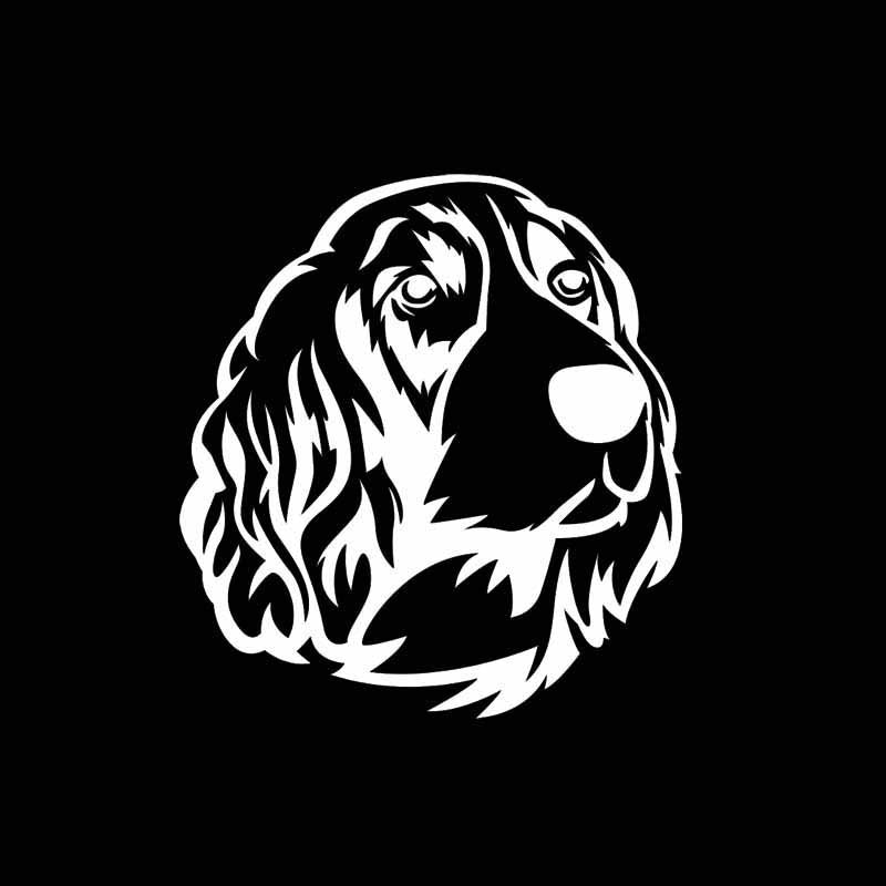 15CM*16.3CM Springer Spaniel Graphic Dog Vinyl Car Styling Car Sticker
