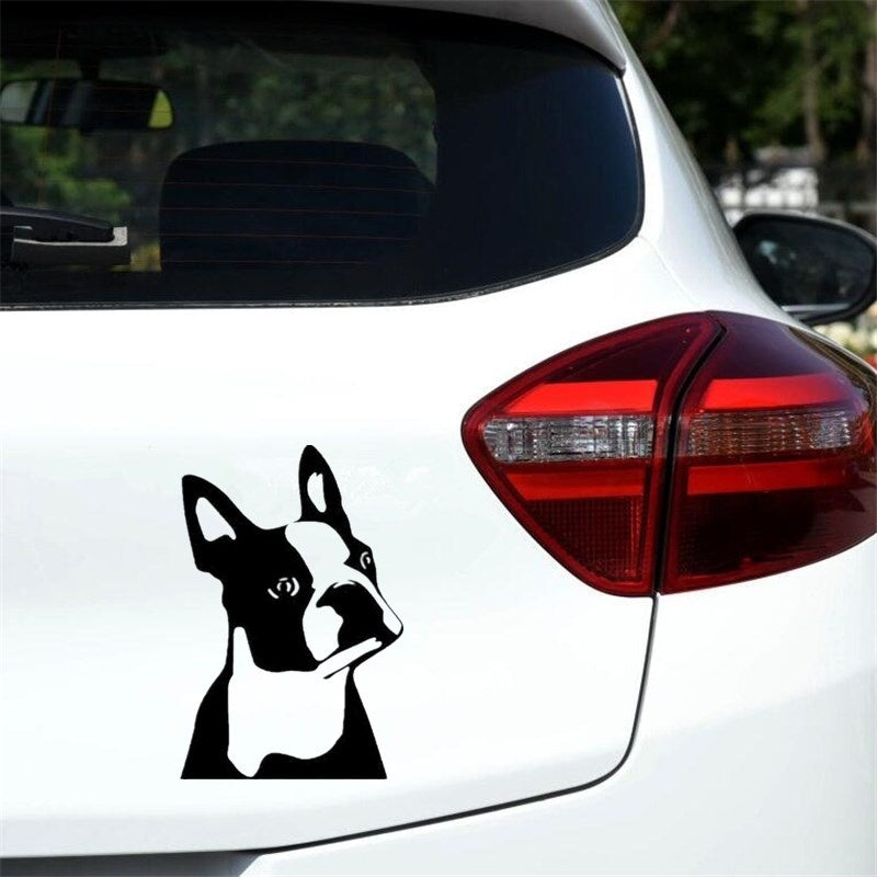 7.6CM*11.4CM Cute Boston Terrier Dog Car Window Decorative Stickers Cute Cartoon Vinyl Decal 6 Colors