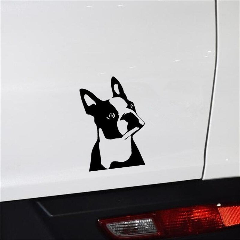 7.6CM*11.4CM Cute Boston Terrier Dog Car Window Decorative Stickers Cute Cartoon Vinyl Decal 6 Colors