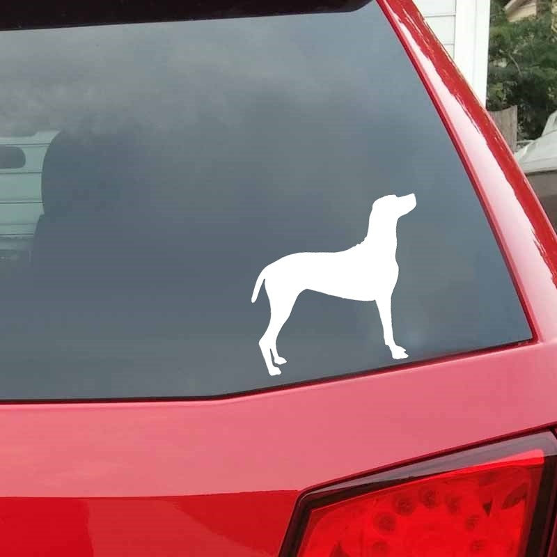 13.7cm*12.7cm Dogs Animal Pattern Vinyl Decal Silhouette Car Stickers Car Styling Truck Accessories 6 Colors