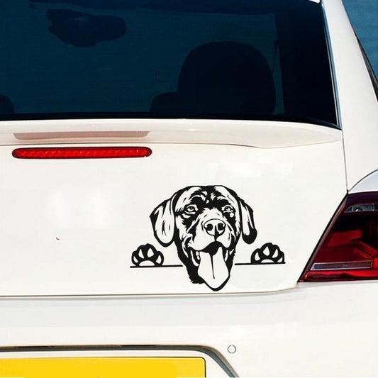 16.6cm*11.5cm Labrador Dog Peeking Car Sticker Vinyl Decal Home Decoration Laptop Wall Sticker