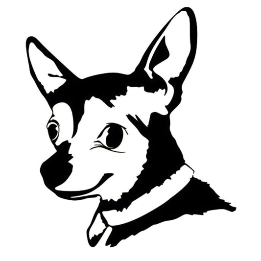 11.1cm*12.7cm 6 Colors Chihuahua Drift Dog Vinyl Decal Cartoon Waterproof Car Stickers Bumper Car Styling Motorcycle Decor