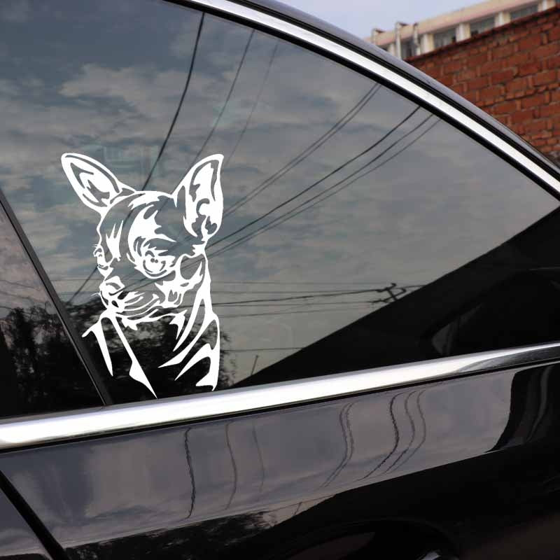 10.8X16.3CM Intereting Chihuahua Decal Vinyl Car Stickers Windows Decor Black/Silver C24-1597