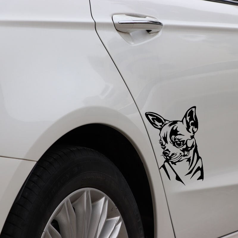 10.8X16.3CM Intereting Chihuahua Decal Vinyl Car Stickers Windows Decor Black/Silver C24-1597