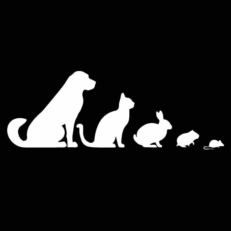 18.6X6.8CM Intereting Animals Pets Dog Cat Rabbit Car Stickers Vinyl Decal Decor Black/Silver C24-1415
