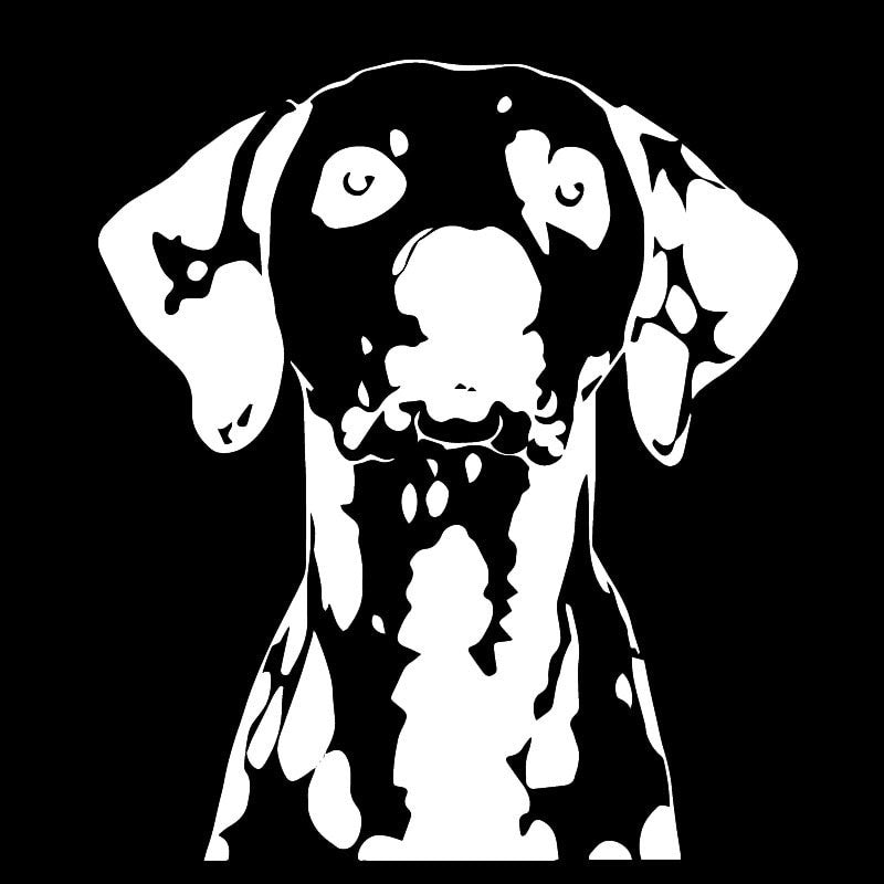 14.8X16.9CM Vinyl Decal Dog Animal Pet Dalmatians Great Decor Car Stickers Pattern Black/Silver C24-1412