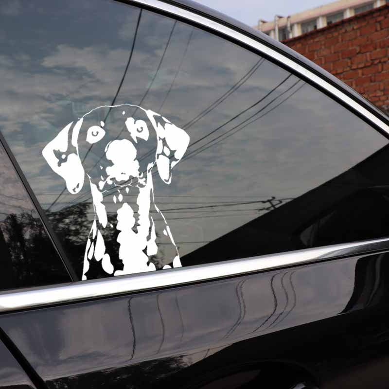 14.8X16.9CM Vinyl Decal Dog Animal Pet Dalmatians Great Decor Car Stickers Pattern Black/Silver C24-1412