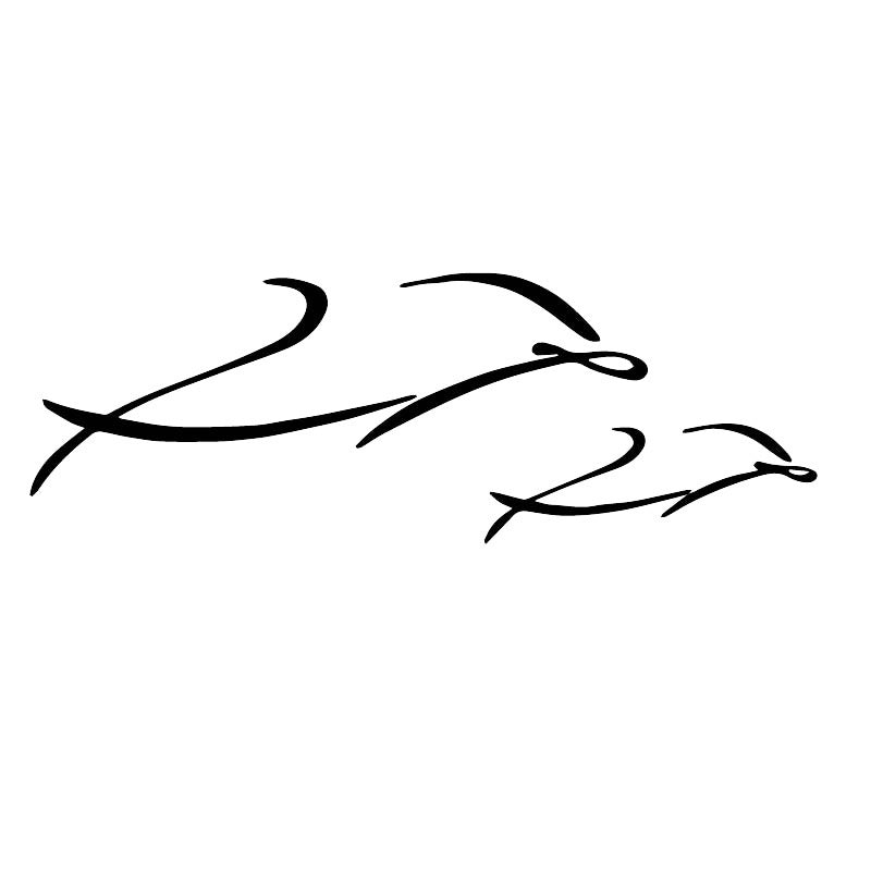 6CM*16.3CM Creative Fun Simple Dolphin Home Decal Car Personality Car Stickers Black/Silver C30-0168