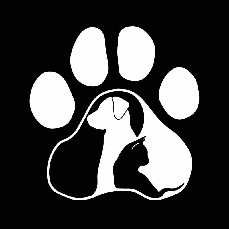 14.7cm*15.1cm Animal Cartoon Car Sticker Vinyl Decal Car Styling Decoration
