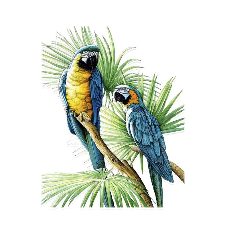 11.4*14.4CM Beautiful Two Parrot Decor PVC Personalized Car Sticker High Quality 11A0100