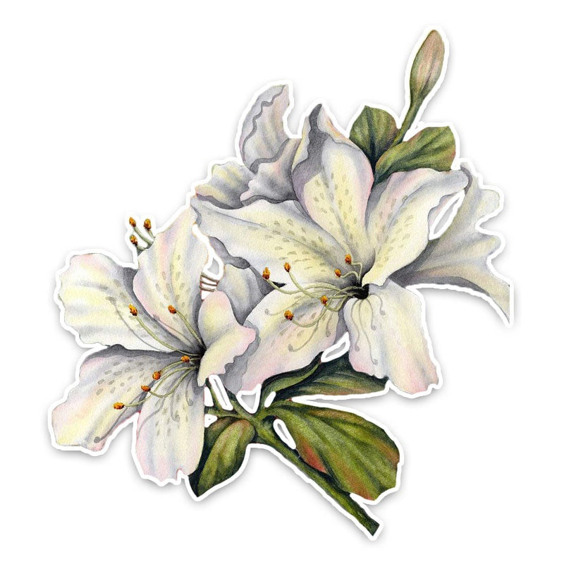 10.9*12.1CM Interesting Lily Flower Decor Car Stickers High Quality Bumper Car Window 11A0980