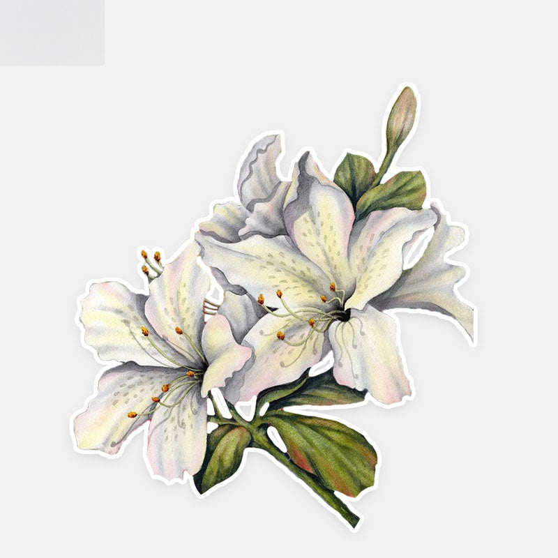 10.9*12.1CM Interesting Lily Flower Decor Car Stickers High Quality Bumper Car Window 11A0980