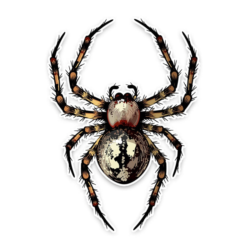 9.1*12.8CM Unique Dangerous Spider Crawl Decor Car Stickers Personality 11A0578