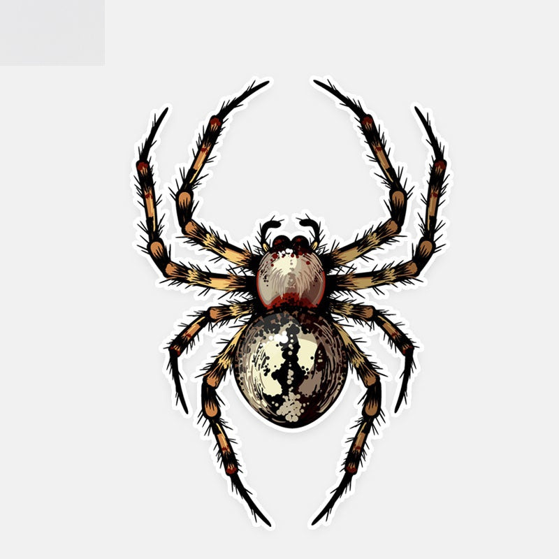 9.1*12.8CM Unique Dangerous Spider Crawl Decor Car Stickers Personality 11A0578